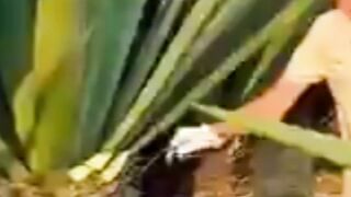 انظر الى الانسان كيف يصنع الاحذيه