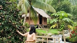 A Daughter of the Village