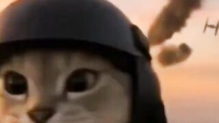 I Believe I Can Fly  shorts short shortvideo shortsfeed shortsvideo shortsviral memes