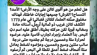 الاسد التمساح
