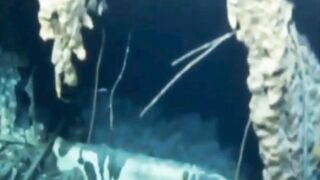 REAL IMAGES AND VIDEOS OF TITANIC