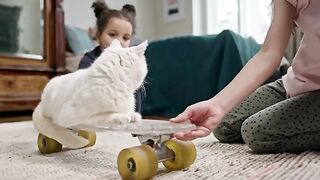 Purrfectly Playful! Cutest Kitten Moments Compilation (5 Mins of Feline Fun!)