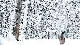 Wait for It! The Cat Gives A Peace Sign! shorts funnycat catmeme snow peaceout animalshorts