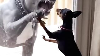 Dog Bhar Gaya bade Sameer ke