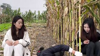 Funny sugarcane cutting