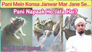 Pani Mein Konsa Janwar Mar Jane Se Pani Napaak Ho Jata Hai? shortsfeed
