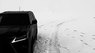 全球最佳网赌博彩娱乐网站正规靠谱平台排名