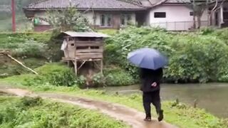 Rainy atmosphere in the village