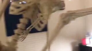 Random memes I found tiktok 2023