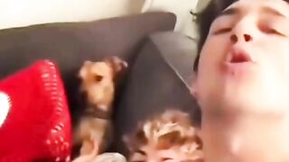 Funny dog's