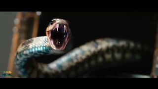 KRAVEN THE HUNTER - Teaser Trailer | Marvel Studios & Sony Pictures - Aaron Taylor Johnson (2023) (720p)
