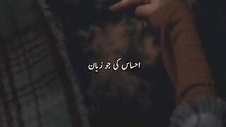 What’s app and Instagram status
