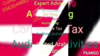 VAT Consultant