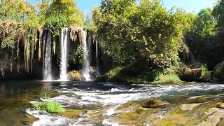 Forest river waterfall