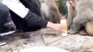 Я ваш китайский пить не буду ????