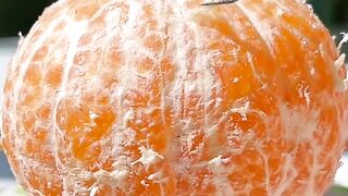 Only 3 Ingrendients！Cat Makes Orange Custard???? | Cat Cooking ASMR | Cute Cat