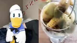 compilationDonald duck Donald ducc halloween tik tok