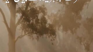 Hadees status - Tiktok Islamic Video - Hadees In Urdu - Short Islamic Video - Taqwa #shorts.