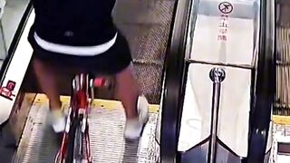 When the urge to cycle is so strong that you forget logic