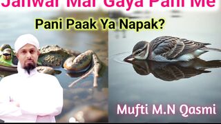 Pani Paak Hai Ya Napak? shortsfeed islamicmaslemasail islamicknowledge paknapak