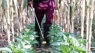 СЪВМЕСТНО ОТГЛЕЖДАНЕ НА ПИПЕР И ЦАРЕВИЦА