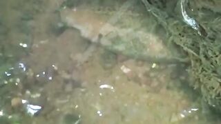 Fishing eel video