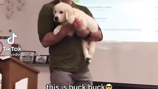 This Is Buck