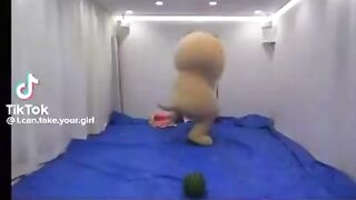 If Your Having A Bad Day Watch This