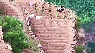 The brave farmers of China