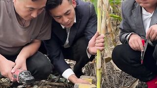 Amazing funny videos 3a