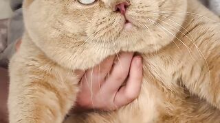 Such a cuddly baby boy