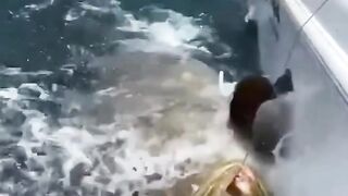 Big Fishing catch