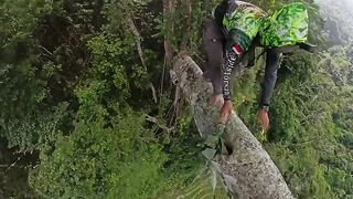 Spiderman honey hunter from Indonesia