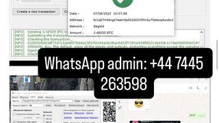 Real Fake usdt sender software