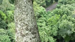 Walk at heights without fear