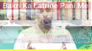 Bakri Ka Latrine Pani Me Gir Gaya  ছগলর পযখন পনত পড গছ  paknapak