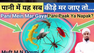 Pani Me Makkhi Cockroach Ya Chinti Is Jaise Keede Mar Jaye To Kya Pani Ka Hukm paknapak shortsfeed