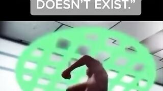 The Perfect Meme Dosent Exs-