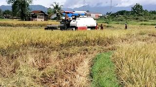 EPS 1 - RICE HARVESTER Y850