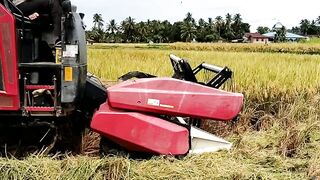 EPS 2 - RICE-HARVESTER YANMAR Y850