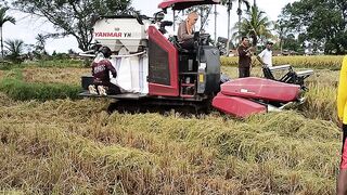 EPS 3 RICE-HARVESTER YANMAR YH850