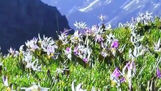 Beautiful nature