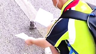 Burung Hantu Ketika Masih Hidup Namanya Burung Apa?