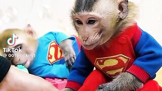 Monkey Nana home video funny