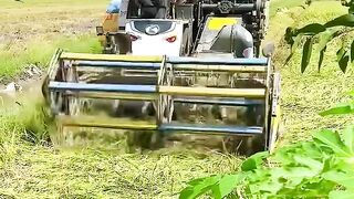 EPS 4 - Rice harvester kubota DC 108x