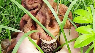 Banyak yang Mengira Bahwa Bunga Bangkai Adalah Bunga Raflesia atau Sebaliknya