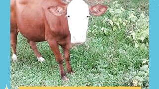 Kesinggung dia itu