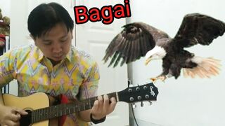 lagu bagai rajawali cover
