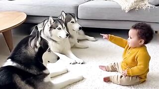 3 anjing dan seorang anak kecil