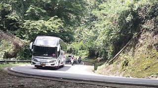 Bus pariwisata mengalami kesulitan